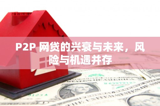 凤山P2P 网贷的兴衰与未来，风险与机遇并存