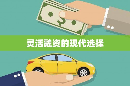 凤山灵活融资的现代选择