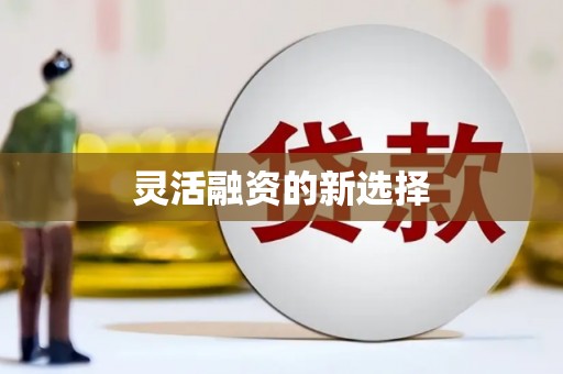 凤山灵活融资的新选择