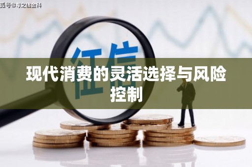 凤山现代消费的灵活选择与风险控制