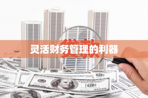 凤山灵活财务管理的利器
