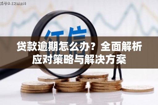 凤山贷款逾期怎么办？全面解析应对策略与解决方案