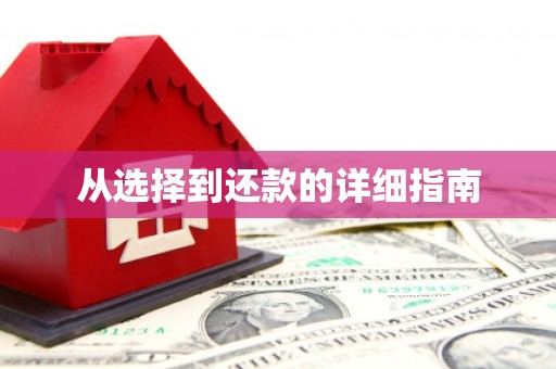凤山从选择到还款的详细指南