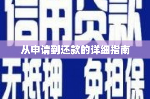 凤山从申请到还款的详细指南