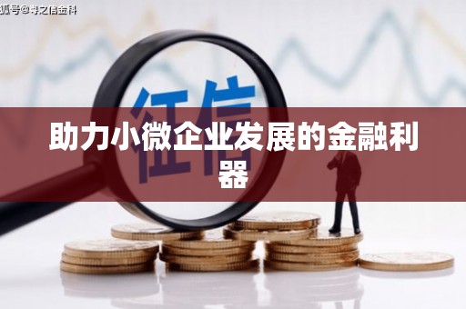 凤山助力小微企业发展的金融利器