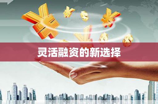 凤山灵活融资的新选择