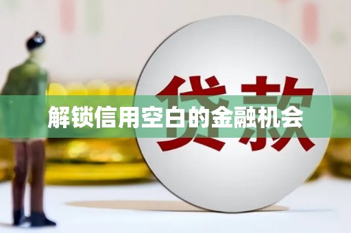 凤山解锁信用空白的金融机会