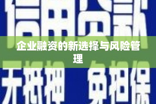 凤山企业融资的新选择与风险管理