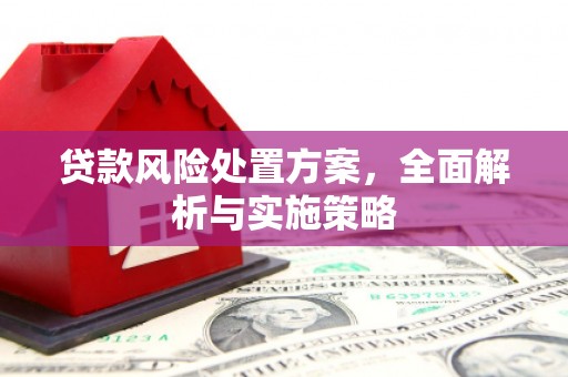 凤山贷款风险处置方案，全面解析与实施策略