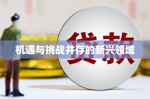 凤山机遇与挑战并存的新兴领域