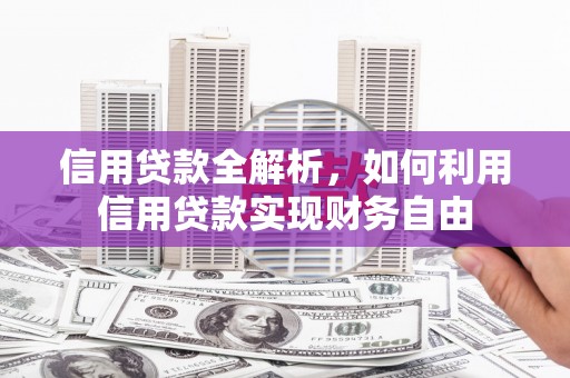 凤山信用贷款全解析，如何利用信用贷款实现财务自由
