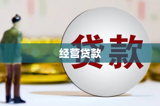凤山经营贷款