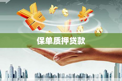凤山保单质押贷款