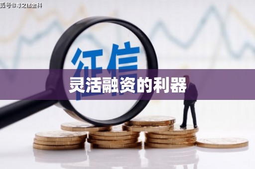 凤山灵活融资的利器