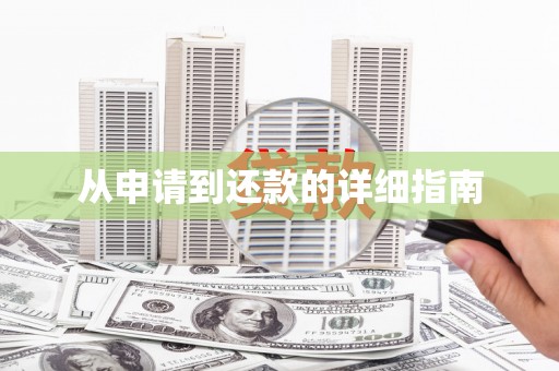 凤山从申请到还款的详细指南