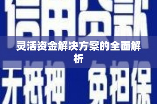 凤山灵活资金解决方案的全面解析