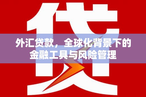 凤山外汇贷款，全球化背景下的金融工具与风险管理