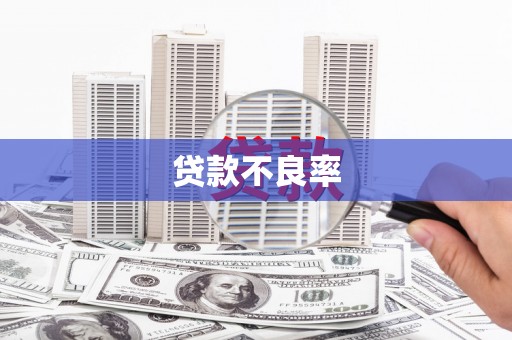 凤山贷款不良率