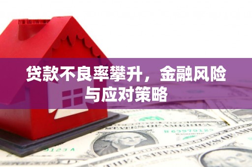 凤山贷款不良率攀升，金融风险与应对策略