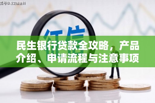 凤山民生银行贷款全攻略，产品介绍、申请流程与注意事项